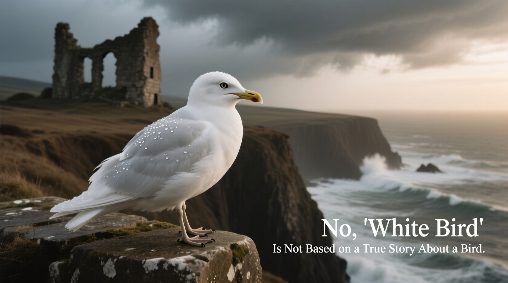 is white bird based on a true story