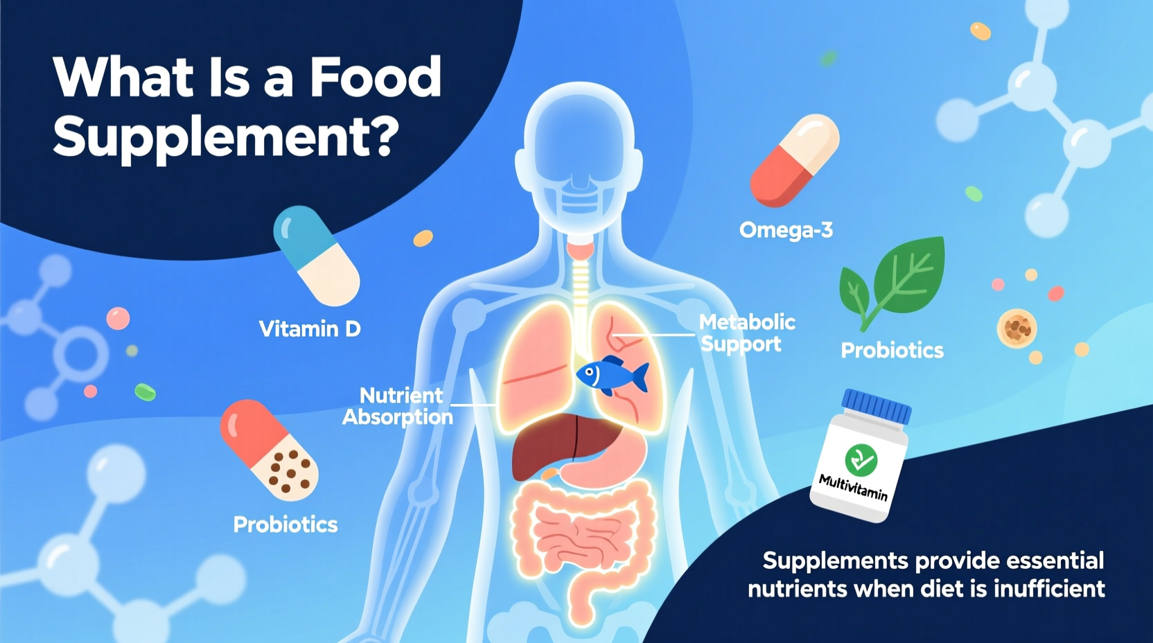What Is a Food Supplement? Clear Definition & Key Facts