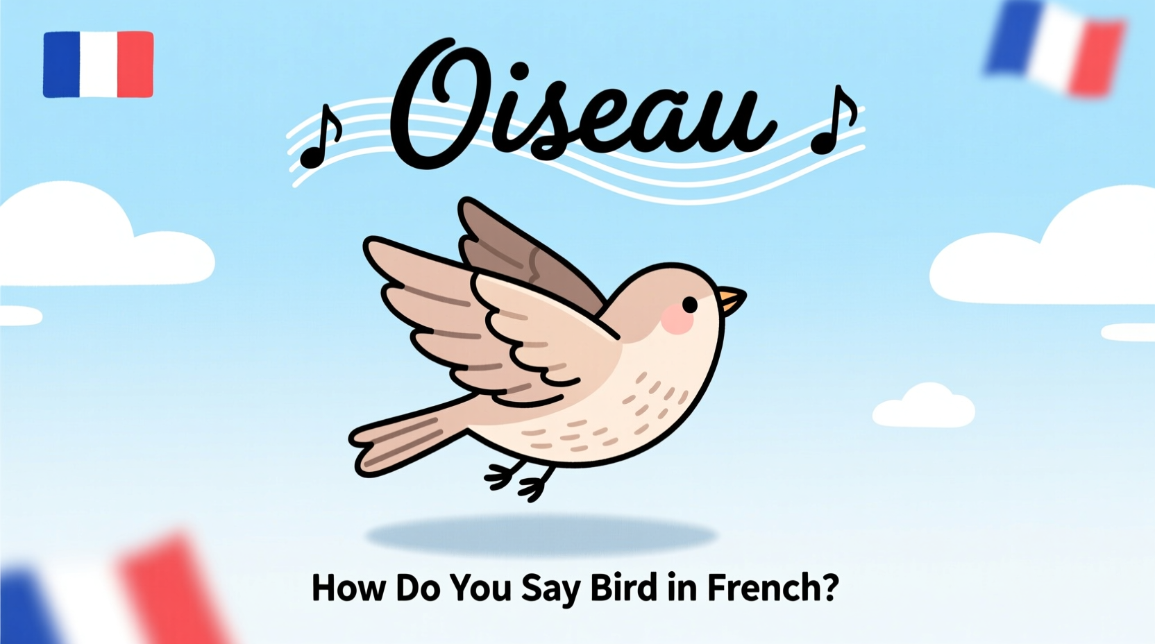 how do you say bird in french