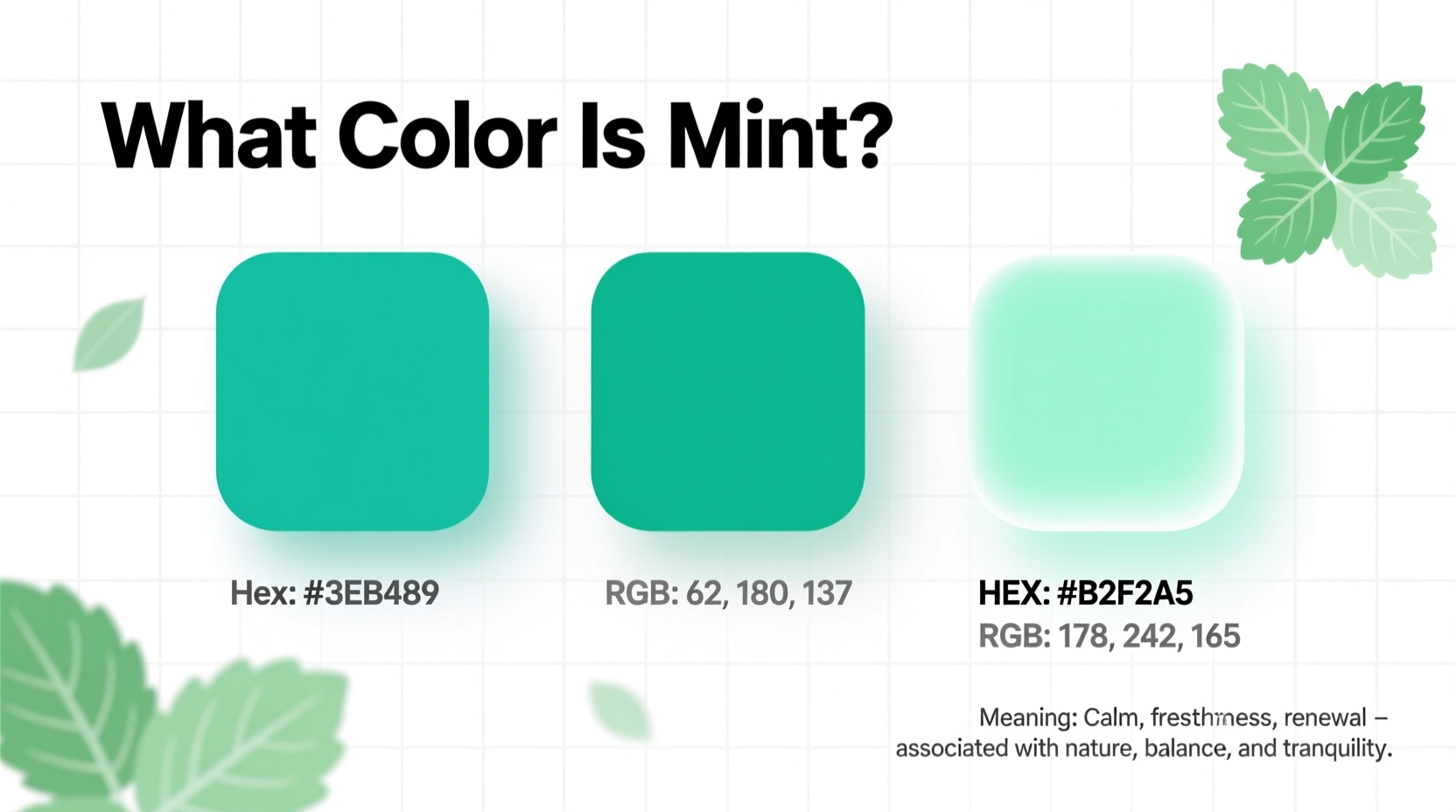 Mint Color Guide: Hex & RGB Codes | TheHomeSprouts