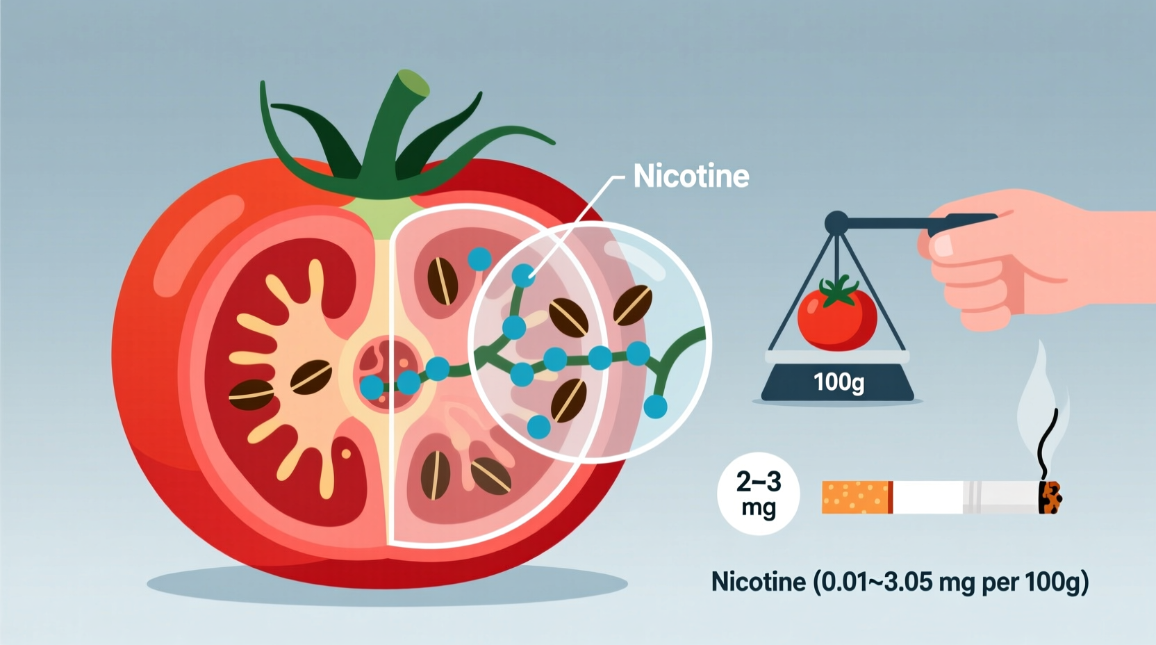 Tomato Nicotine Content: Facts and Safety Explained