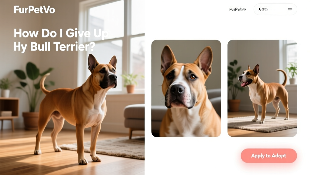 A clean, friendly screenshot of the FurPetVo website showing a bull terrier's profile page with photos and 'Apply to Adopt' button