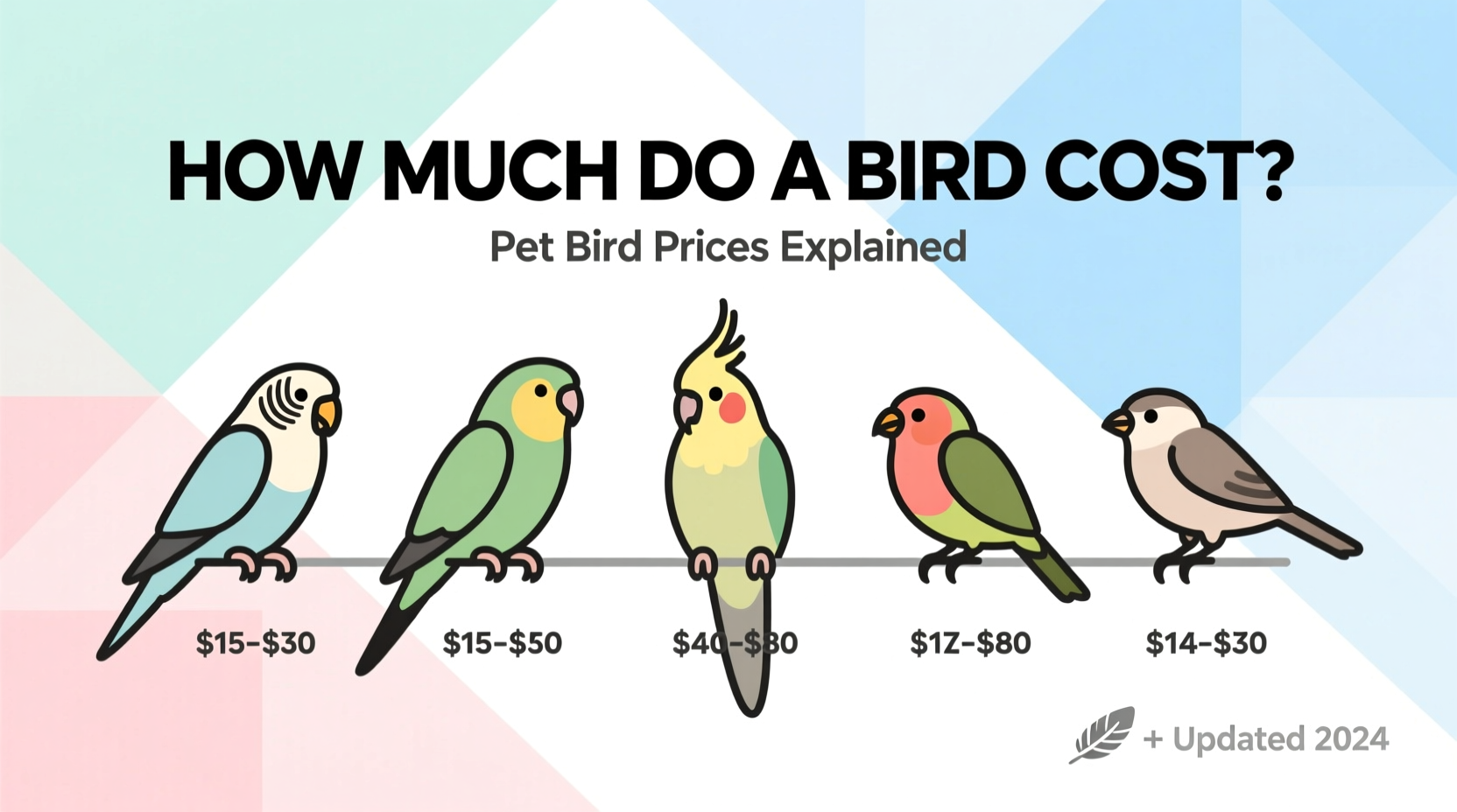 How Much Do a Bird Cost: Pet Bird Prices Explained