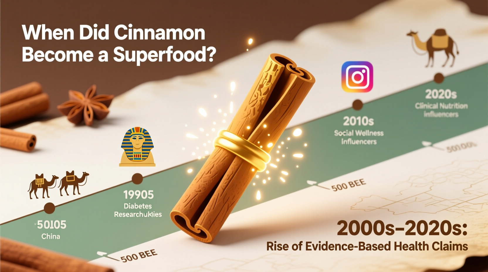 Wann wurde Zimt zum Superfood? Historie & Fakten