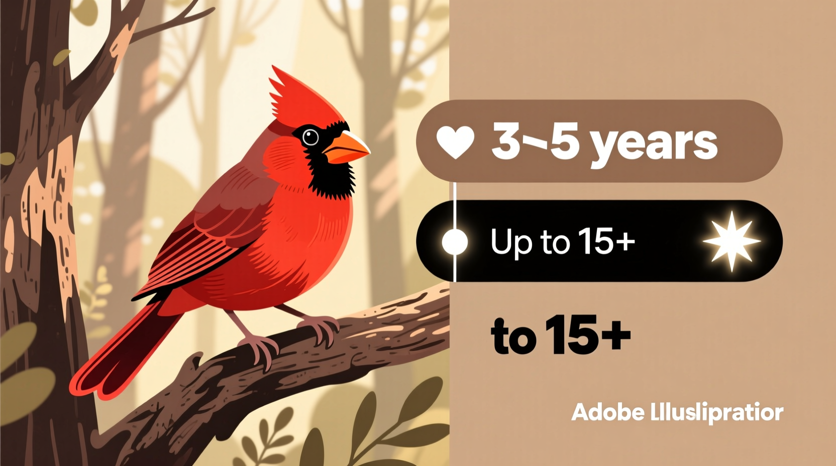 Lifespan of a Cardinal Bird: 3-5 Years, Up to 15+