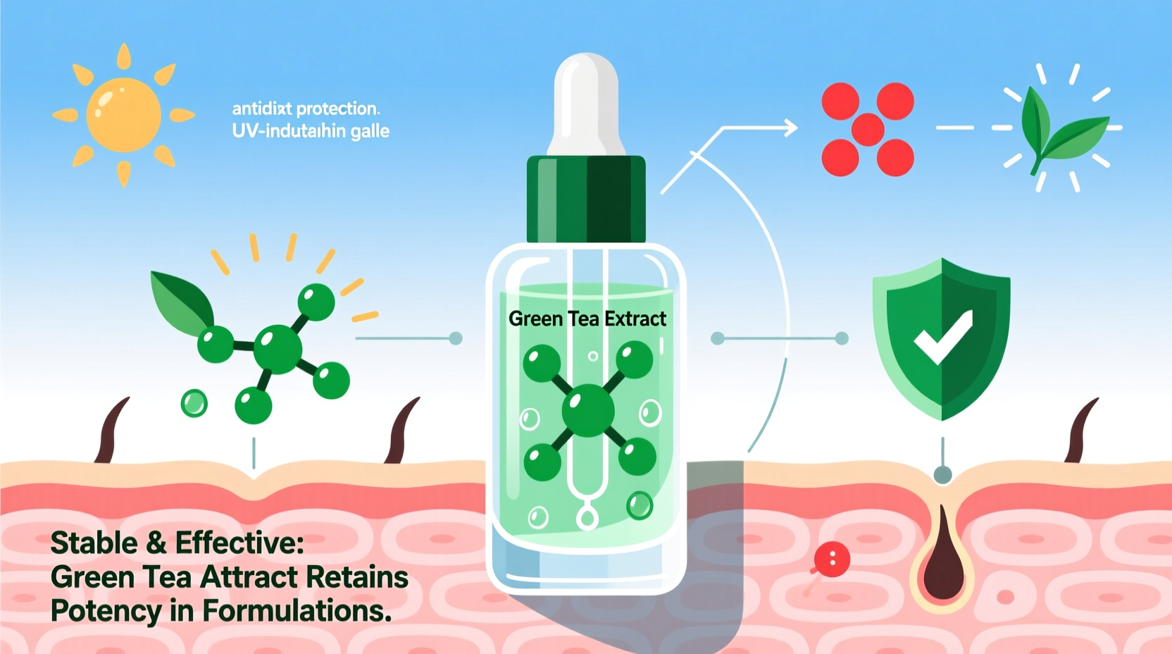 is green tea extract in skincare stable enough to work effectively