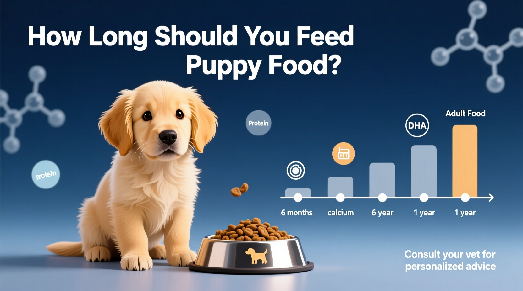 How Long to Feed Puppy Food: Breed-Specific Timeline Guide