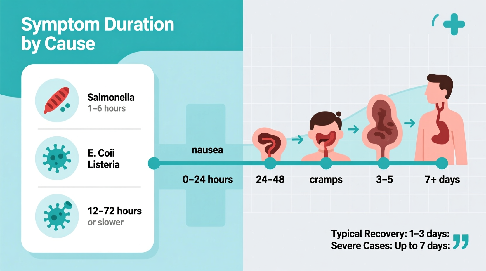How Long Does Food Poisoning Last? Timelines Explained