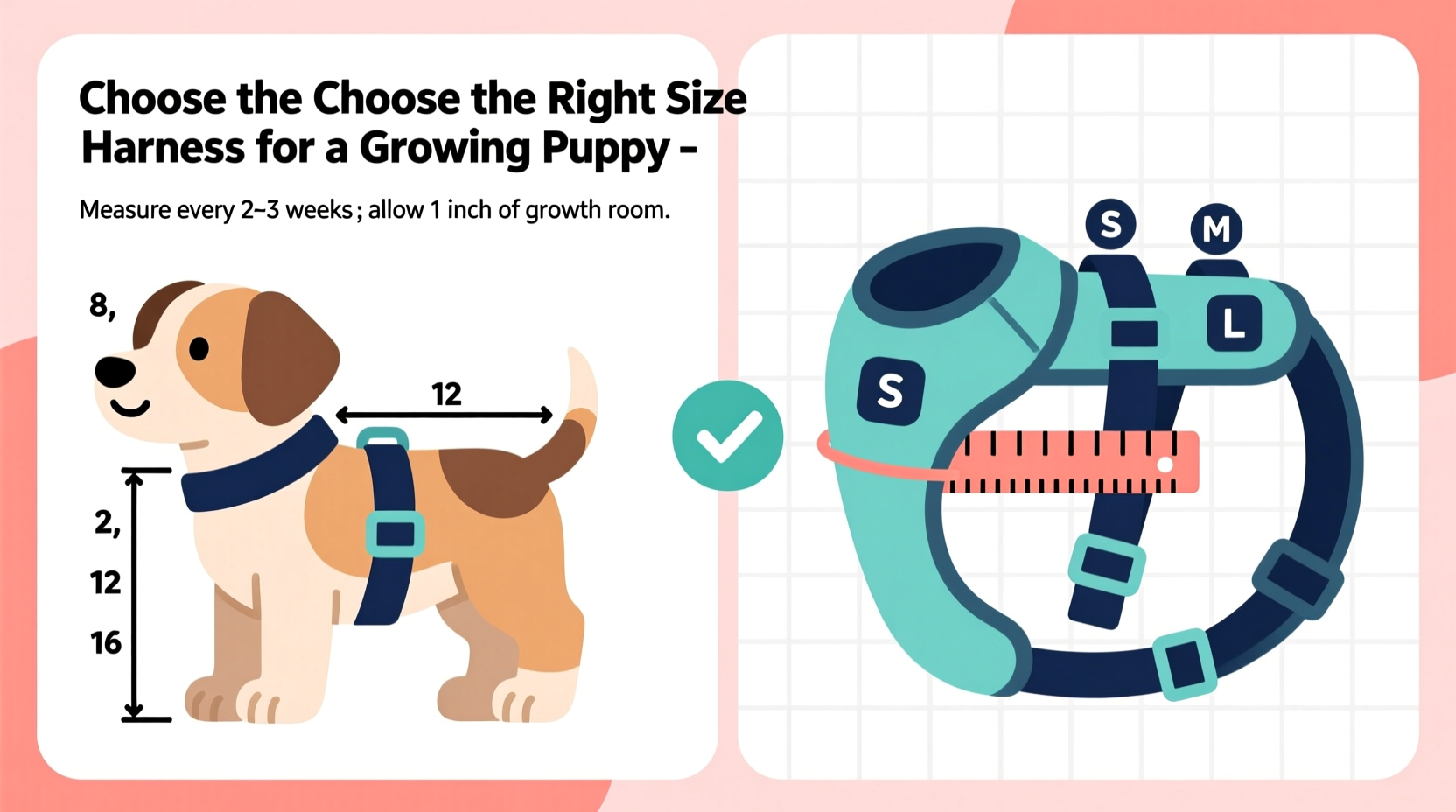 how to choose the right size harness for a growing puppy without constant returns