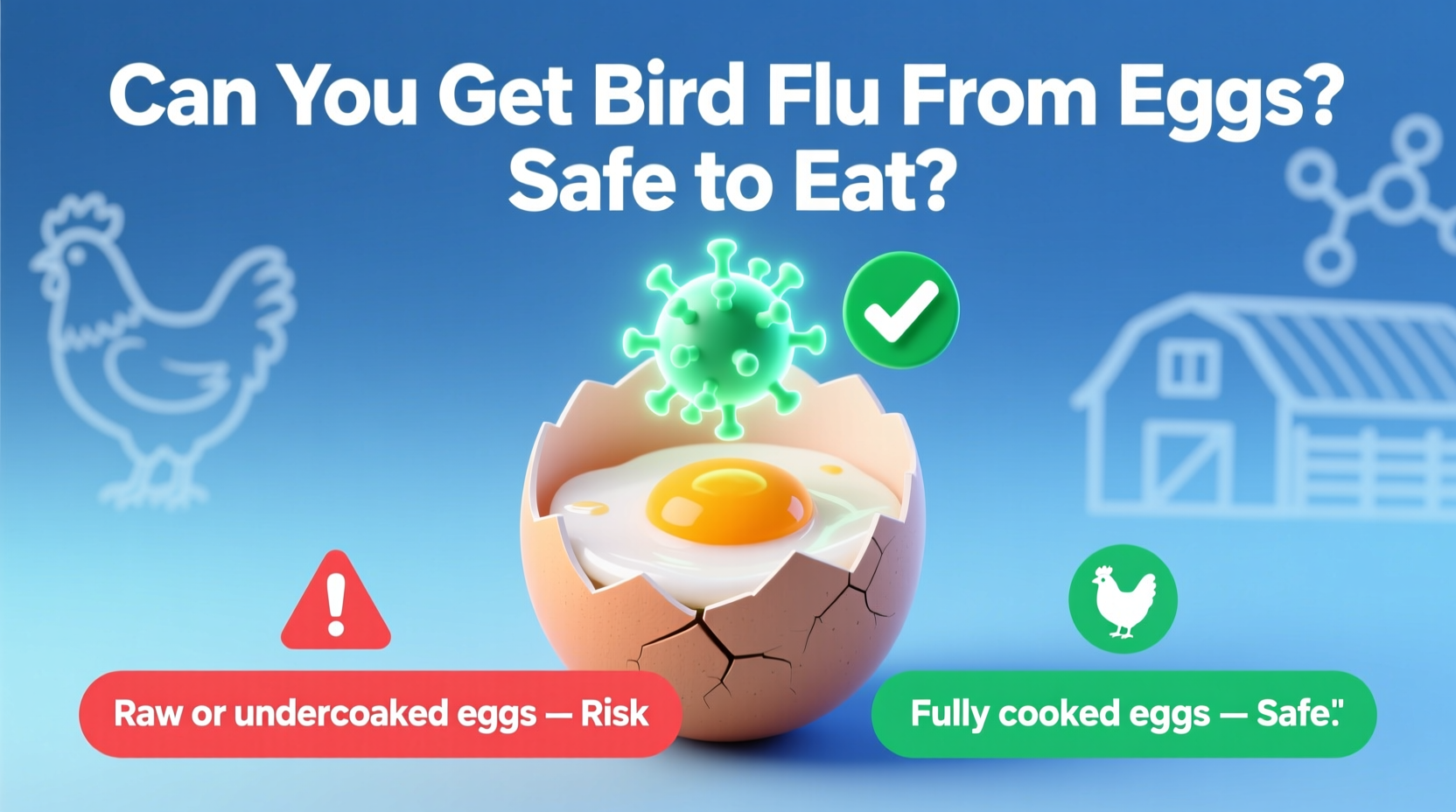 can u get bird flu from eggs