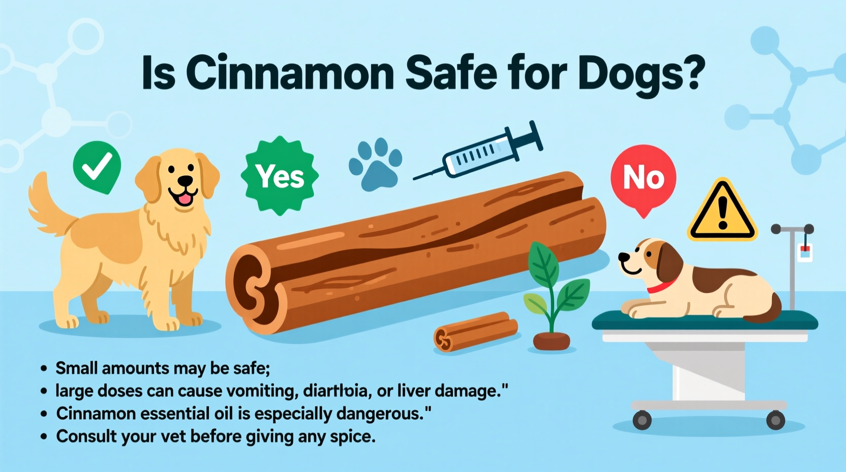 Zimt für Hunde: Sicher in Maßen, Gefährlich in Übermaß