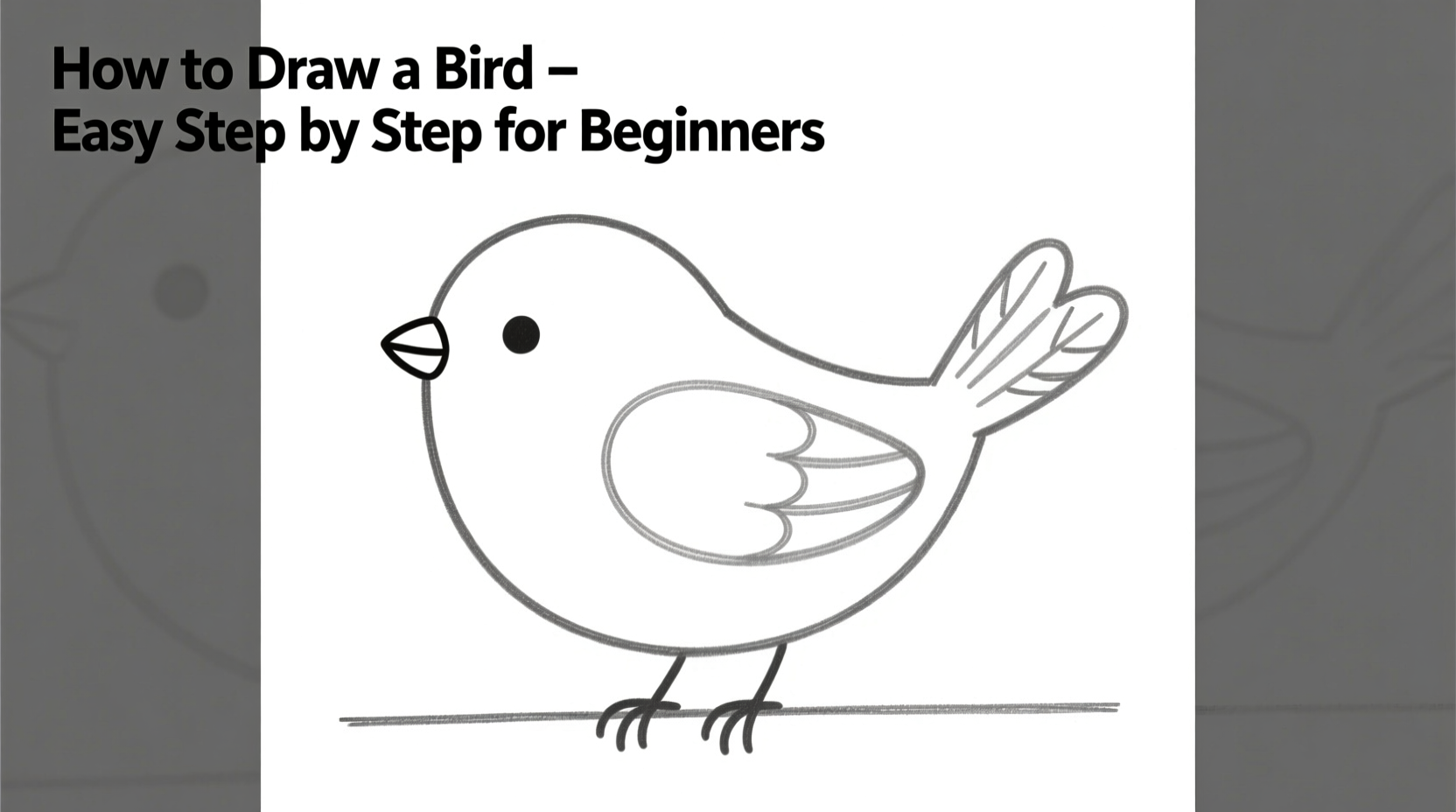 How to Draw a Bird Easy Step by Step for Beginners
