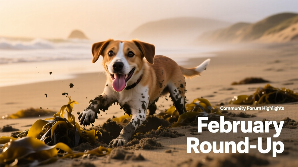 A muddy, joyful young dog mid-dig on a misty Pacific beach, paws deep in sand and seaweed, tongue lolling happily