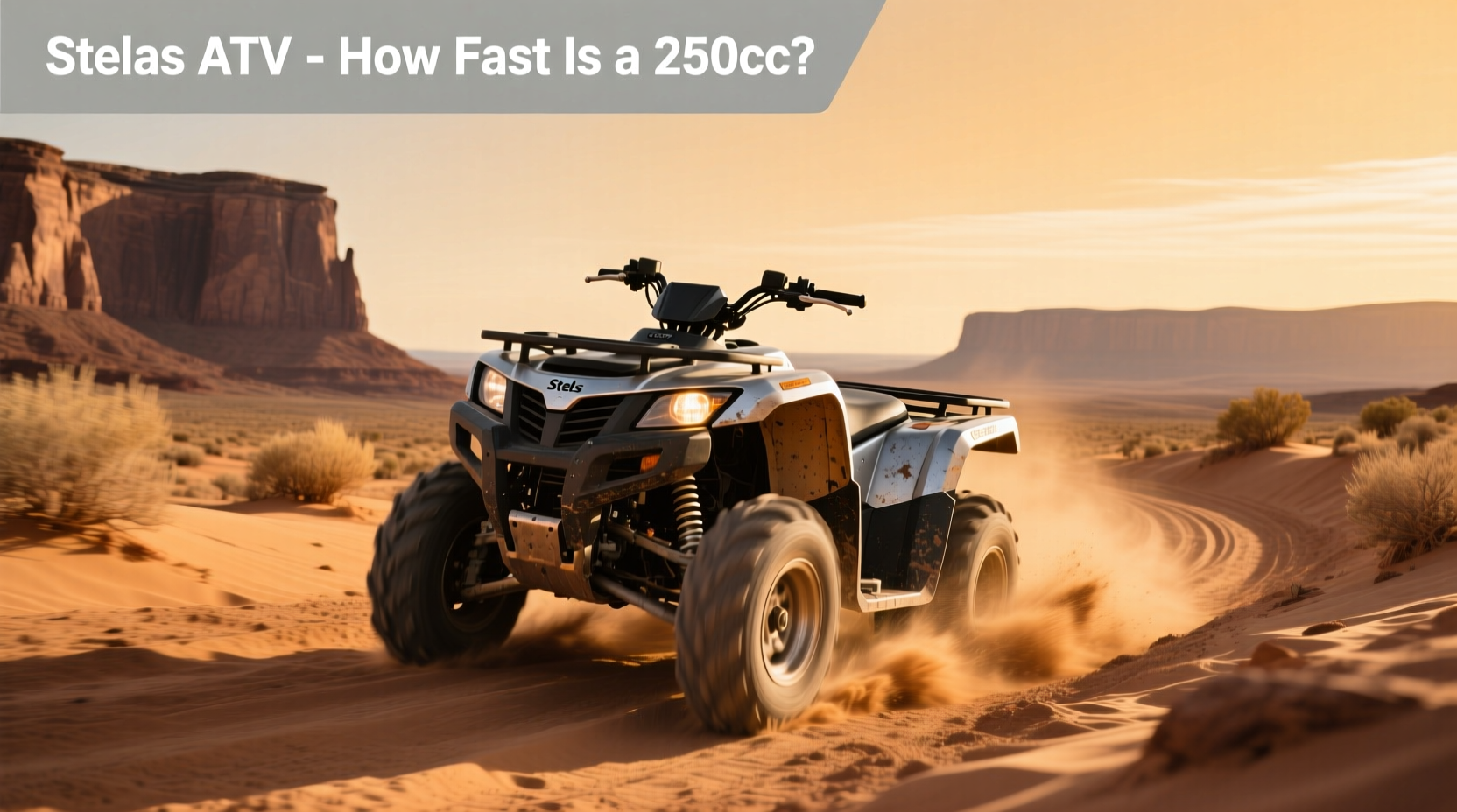 How to Choose a 250cc ATV: Speed, Types & Buying Guide