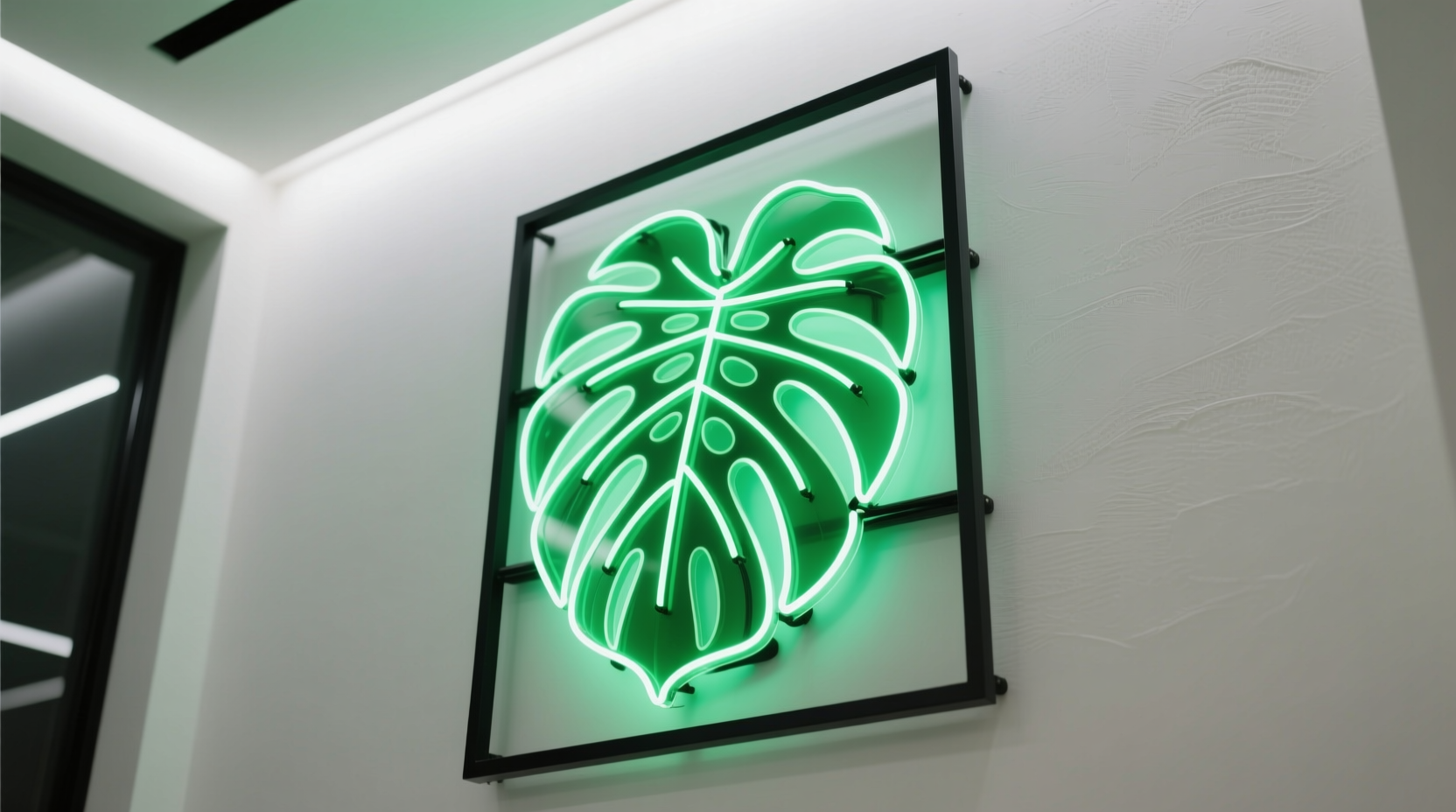 repot monstera signs