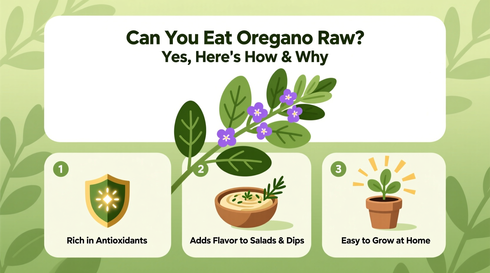 5 Ways to Eat Raw Oregano | TheHomeSprouts