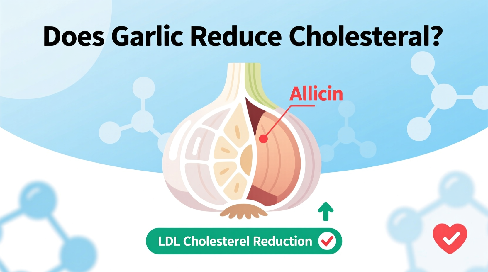 Garlic and Cholesterol: Evidence-Based Analysis
