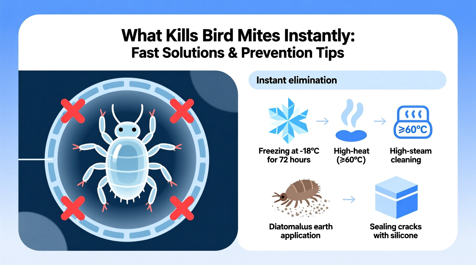 what kills bird mites instantly