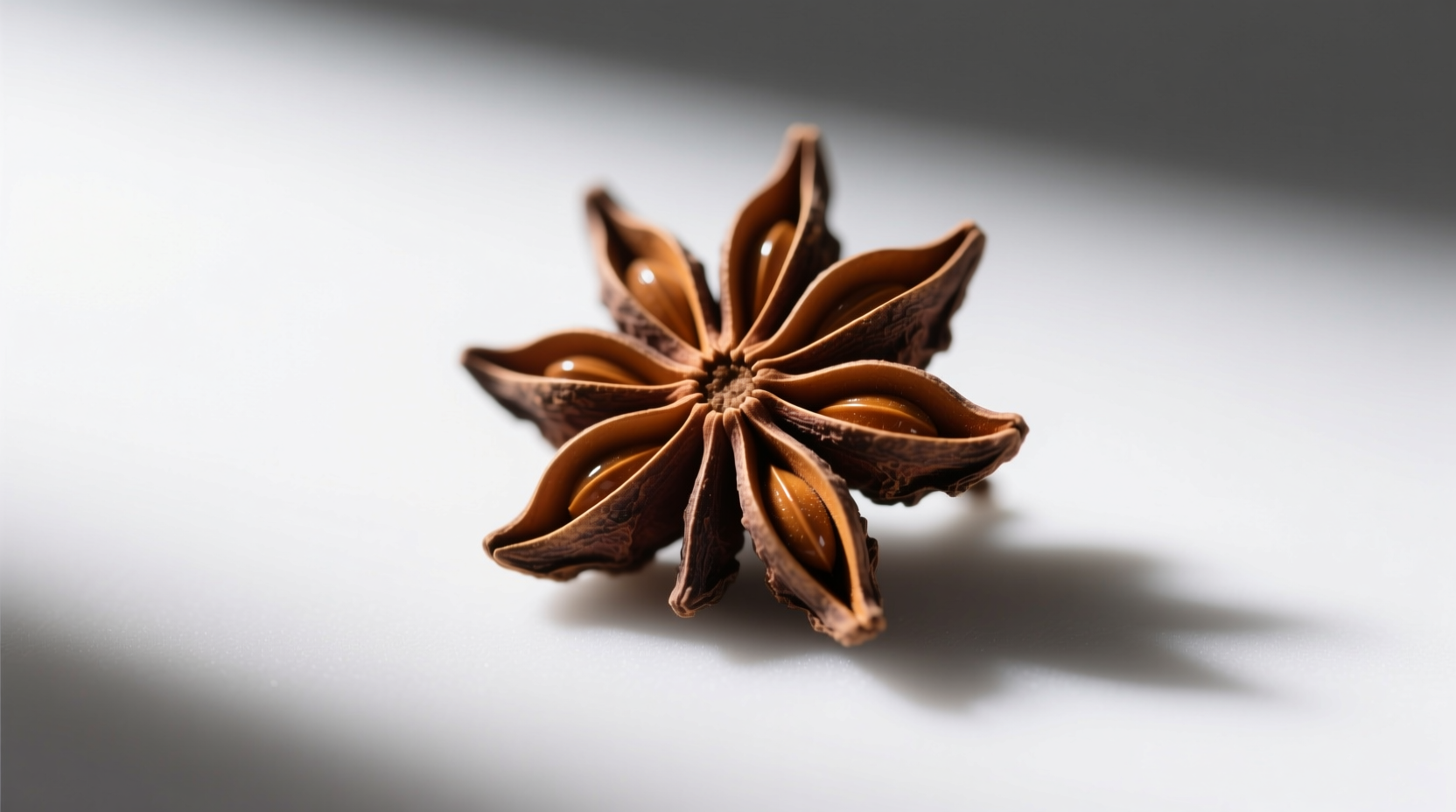 anise flavor panic stop worrying about the wrong thing 2025