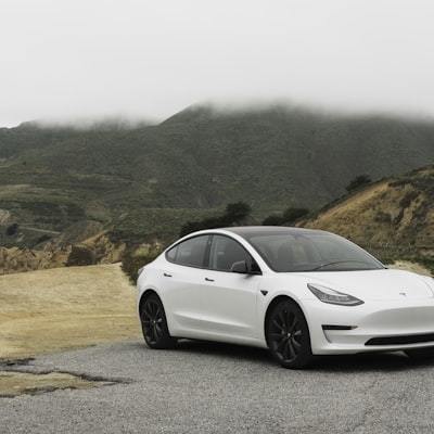 Tesla Model 3 Performance