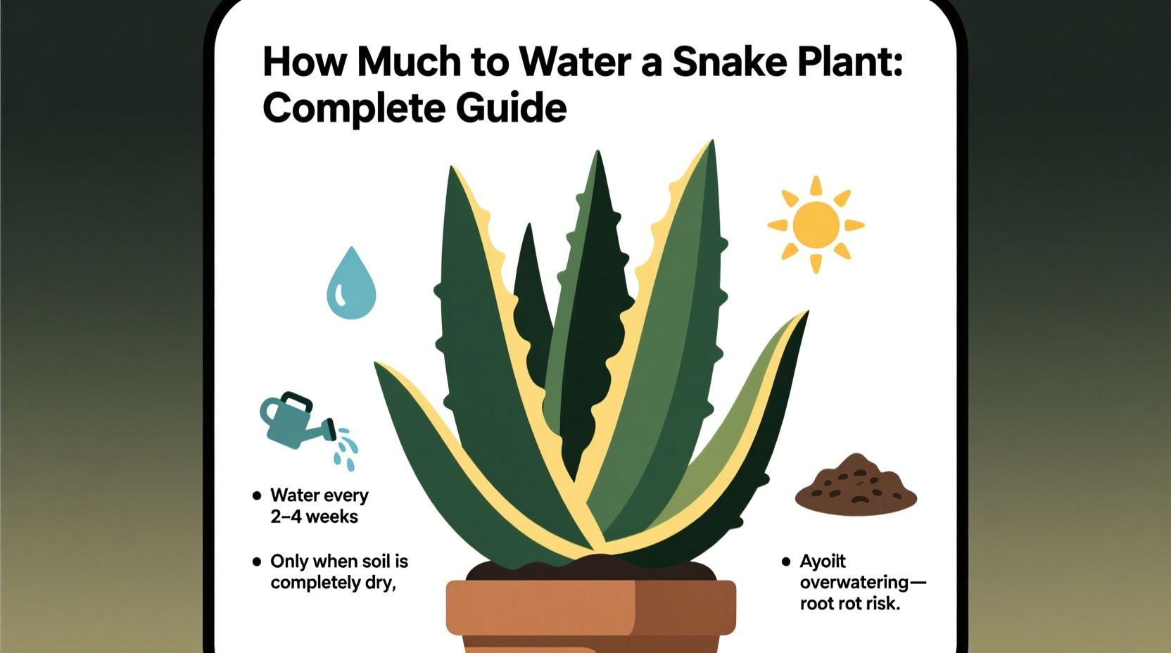How Much To Water Snake Plant