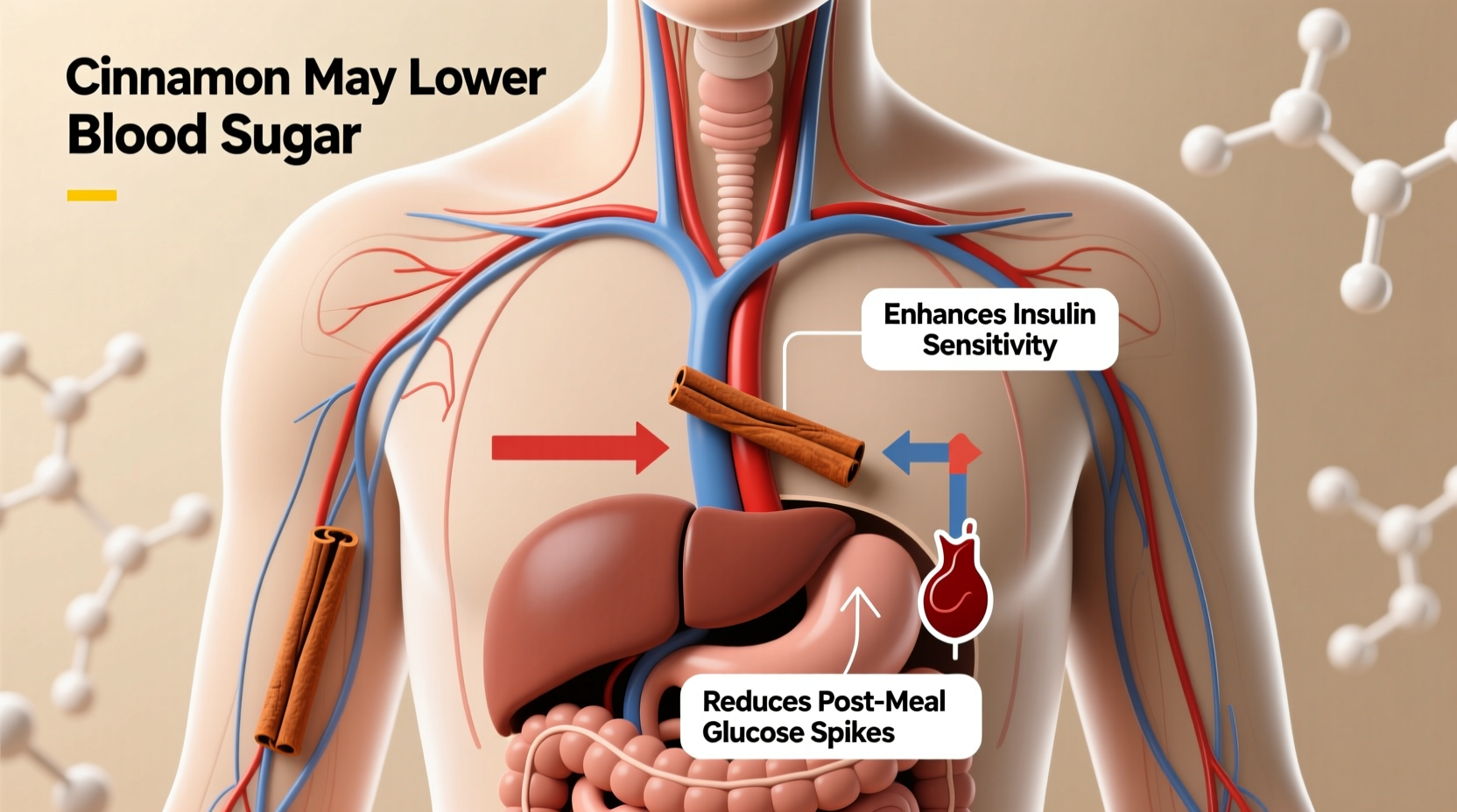 Does Cinnamon Lower Blood Sugar? Science-Backed Facts