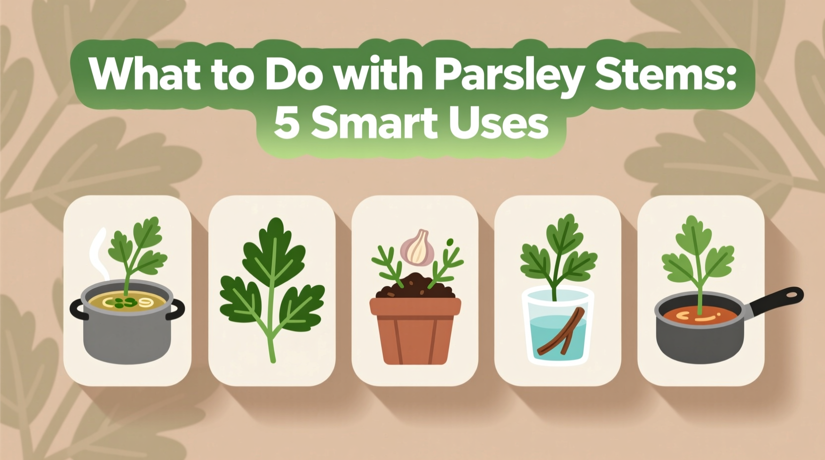 5 Smart Uses for Parsley Stems | TheHomeSprouts