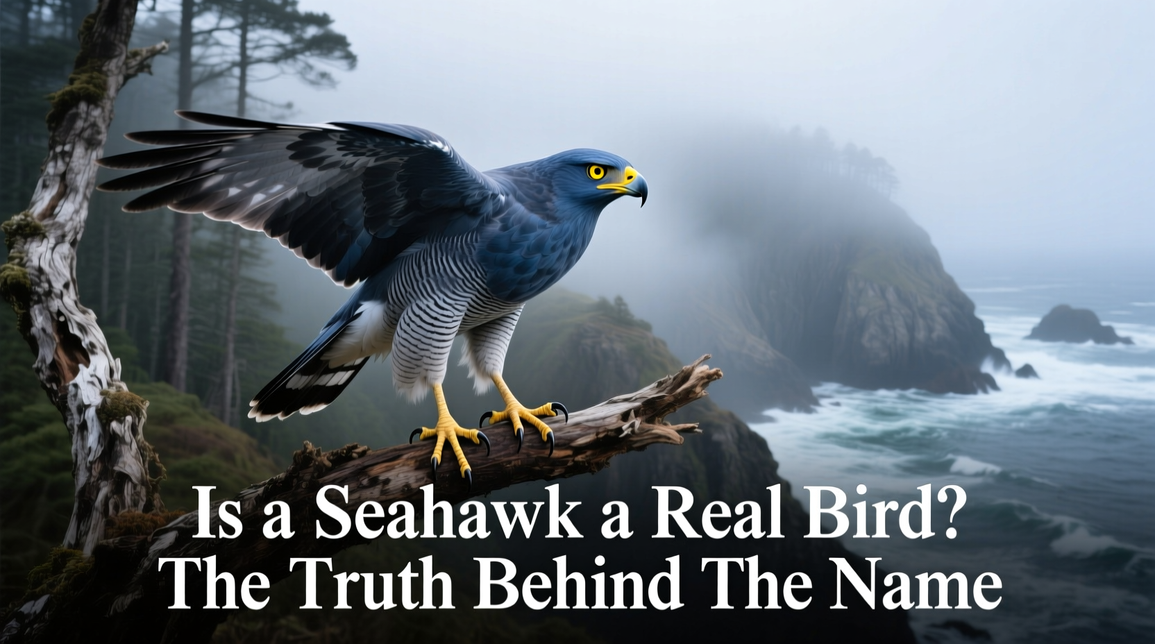 is a seahawk a real bird