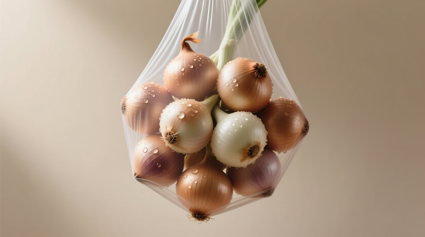 keep onions fresh in pantyhose