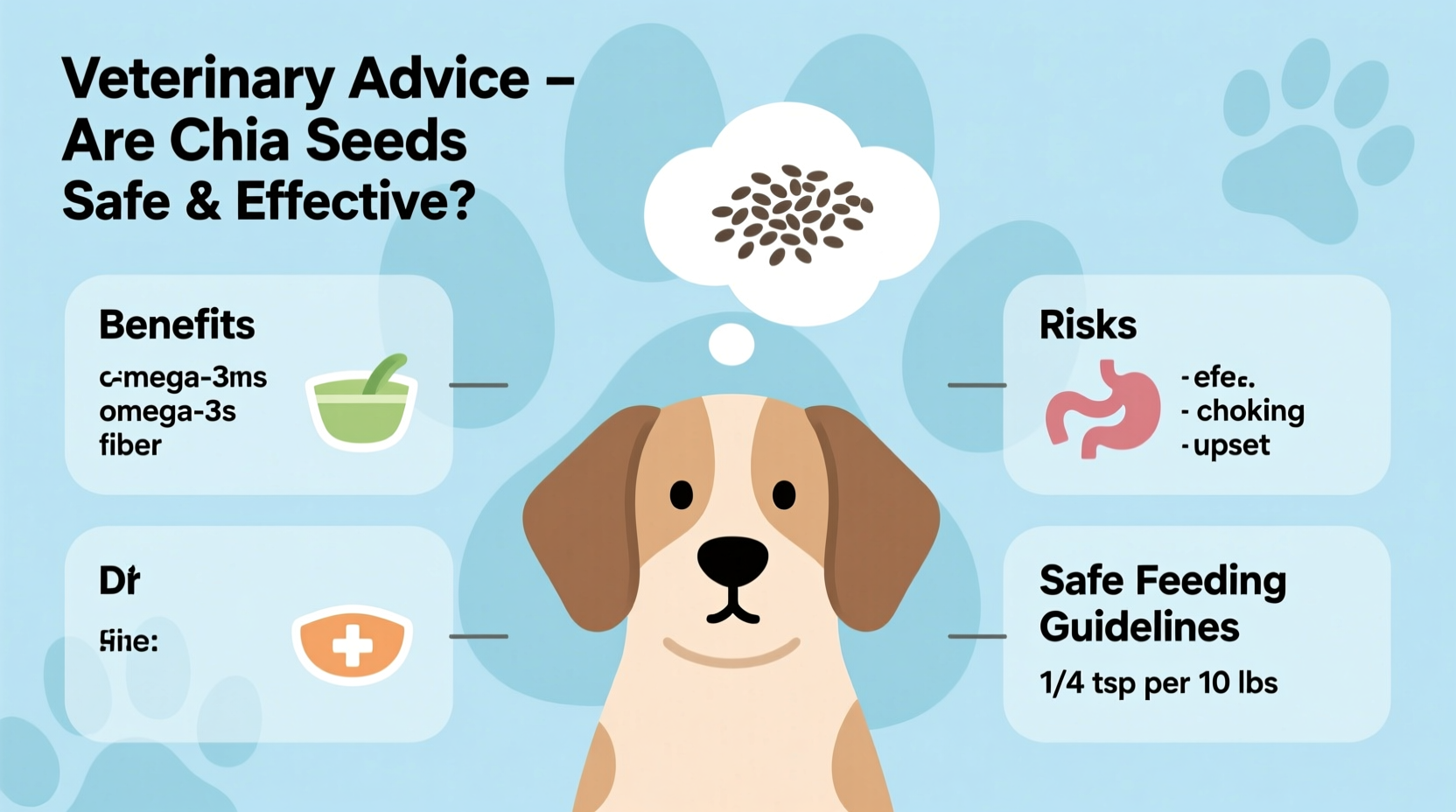 Chia Seeds for Dogs: Safe Benefits & Risks Explained