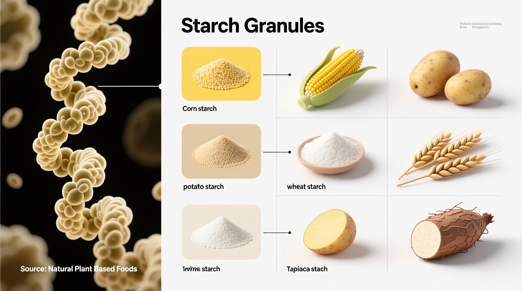 What Are Food Starches? Science, Types & Cooking Uses