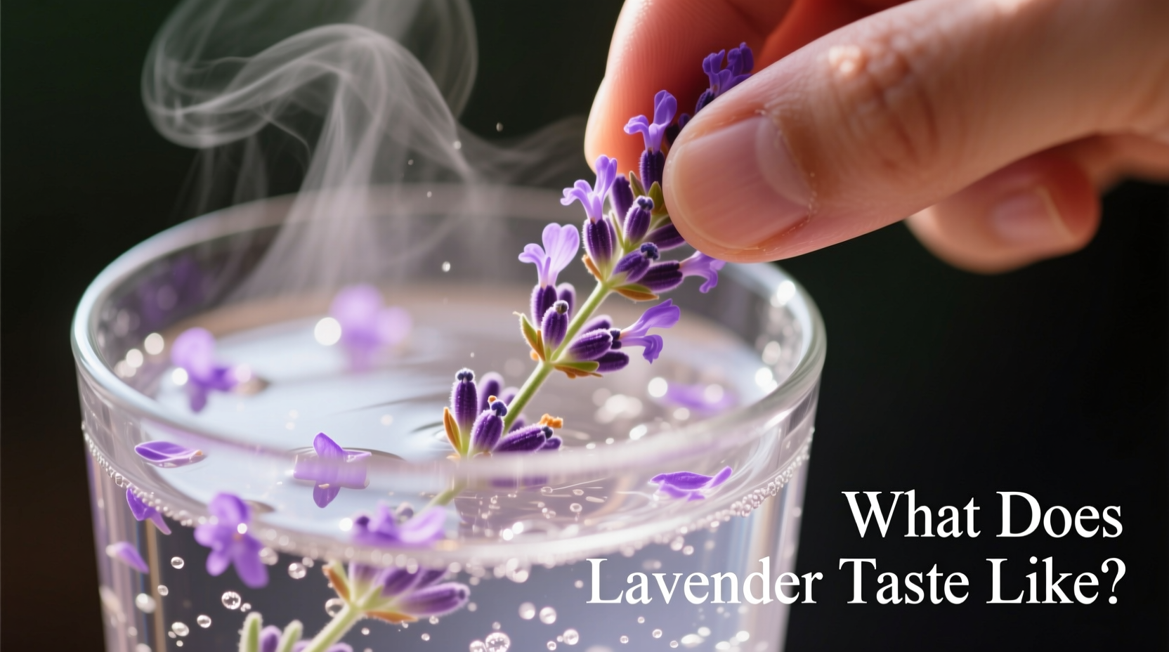 What Does Lavender Taste Like? Culinary Flavor Guide