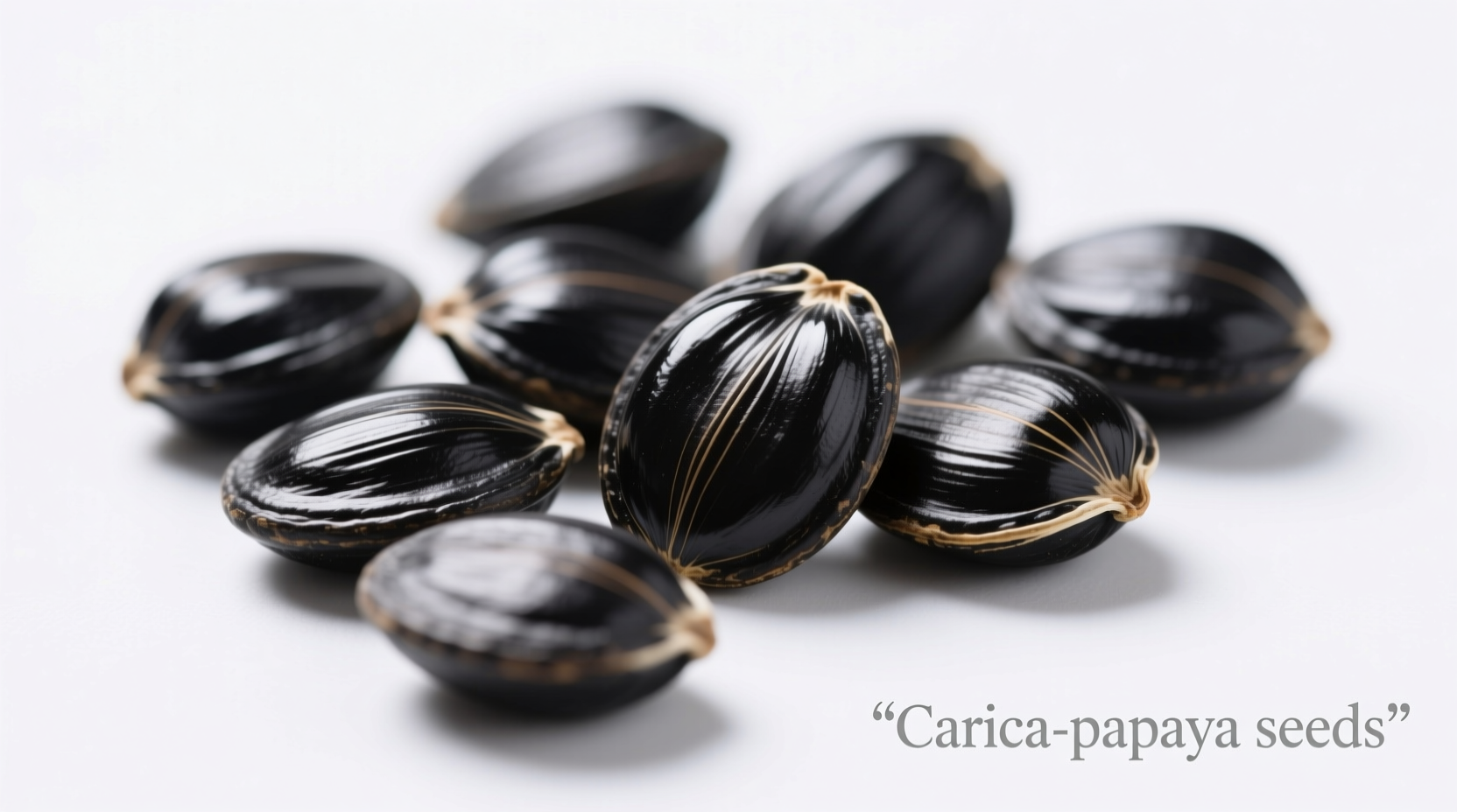 Close-up of black papaya seeds on white background