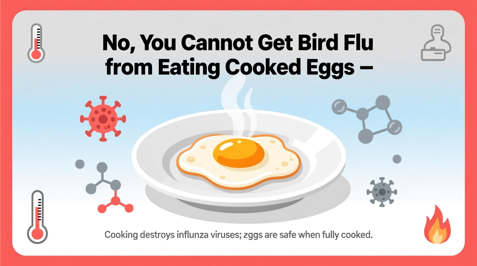 can you get the bird flu from eating eggs