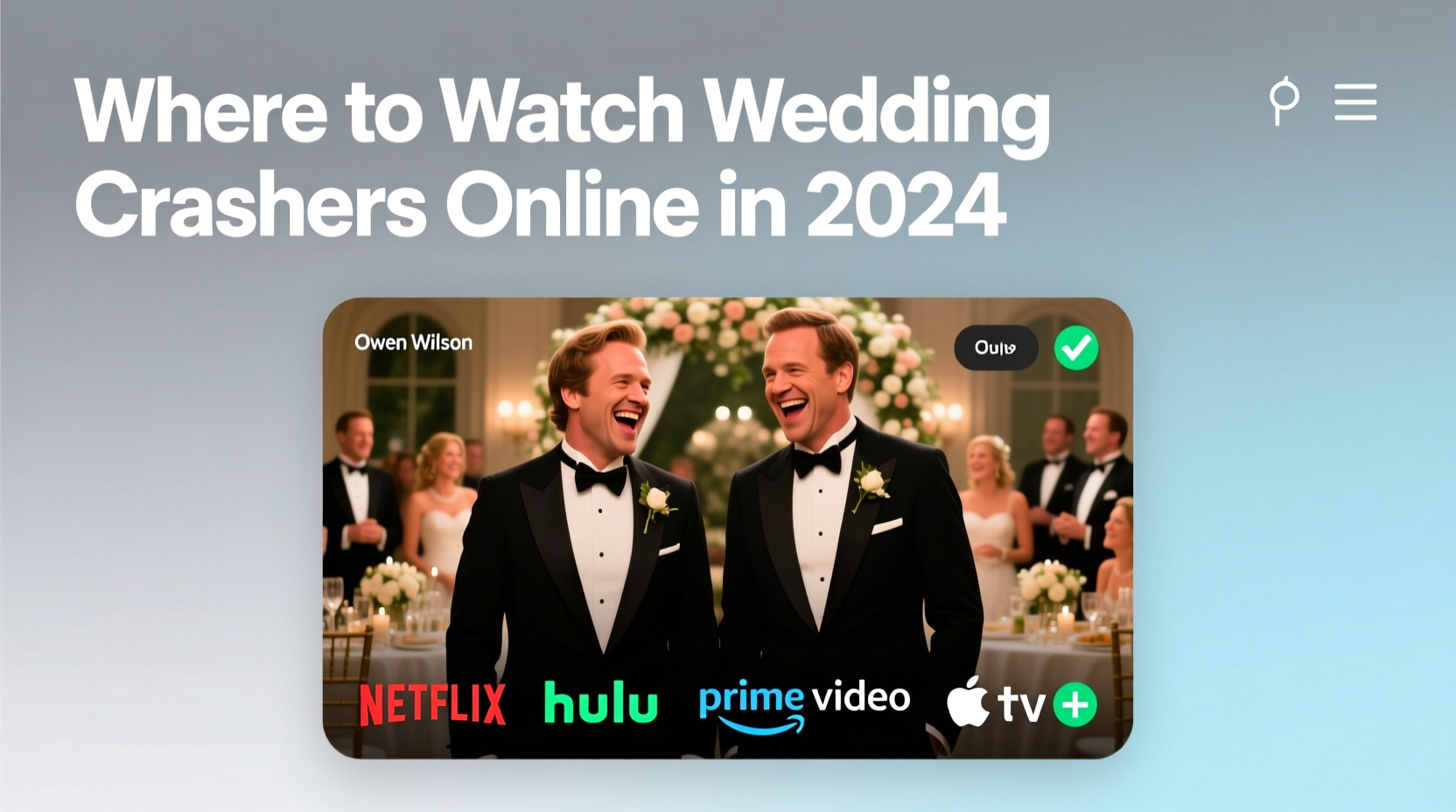 where to watch wedding crashers