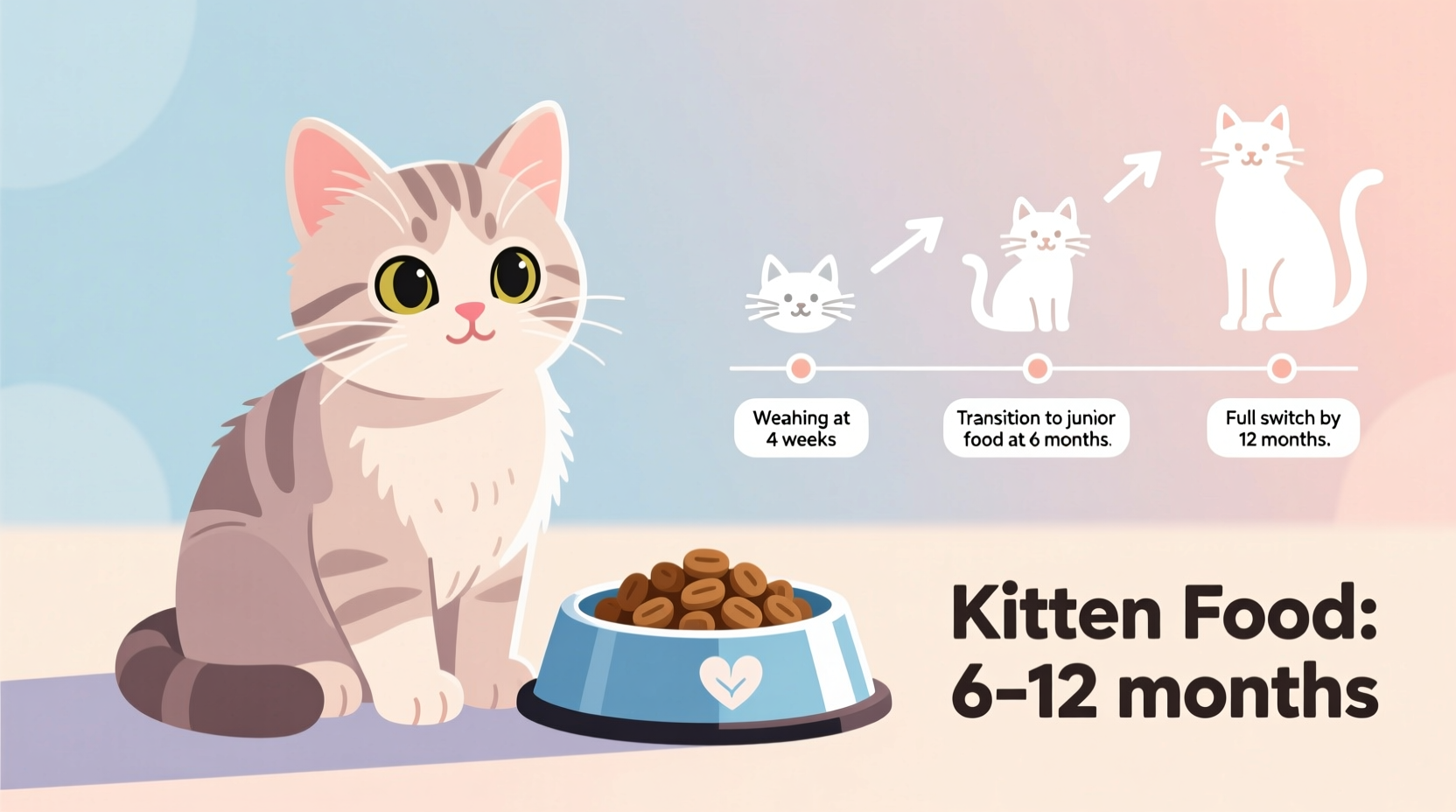 How Long Do Kittens Need Kitten Food? Complete Guide