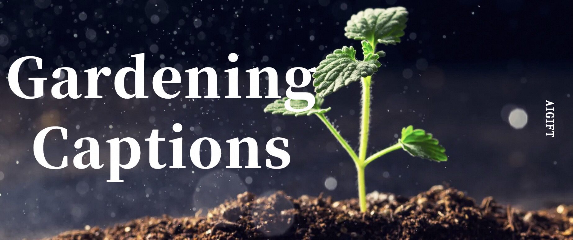 gardening captions for instagram