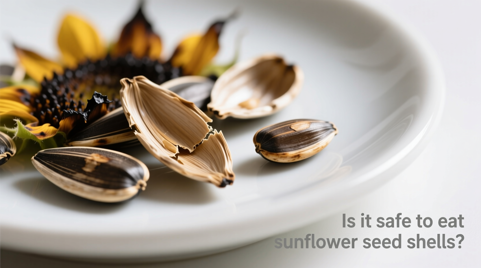 is it safe to eat sunflower seed shells