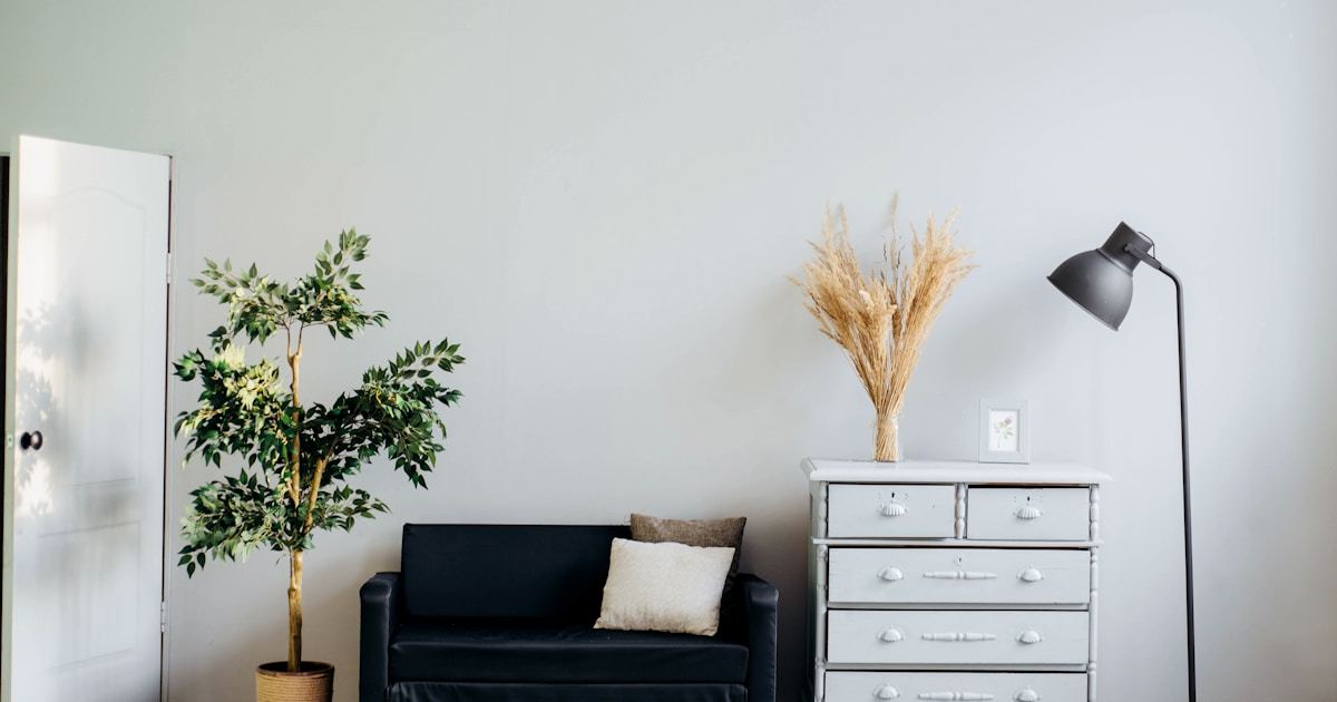 Pet-Friendly Window Treatments: Fabrics and Blinds That Survive Cats