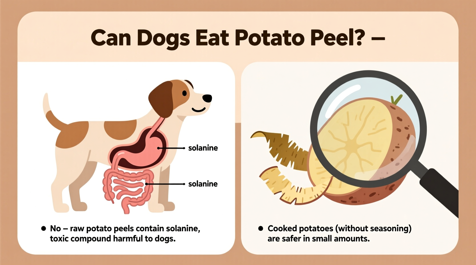 Can Dogs Eat Potato Peels? Vet-Approved Safety Guide
