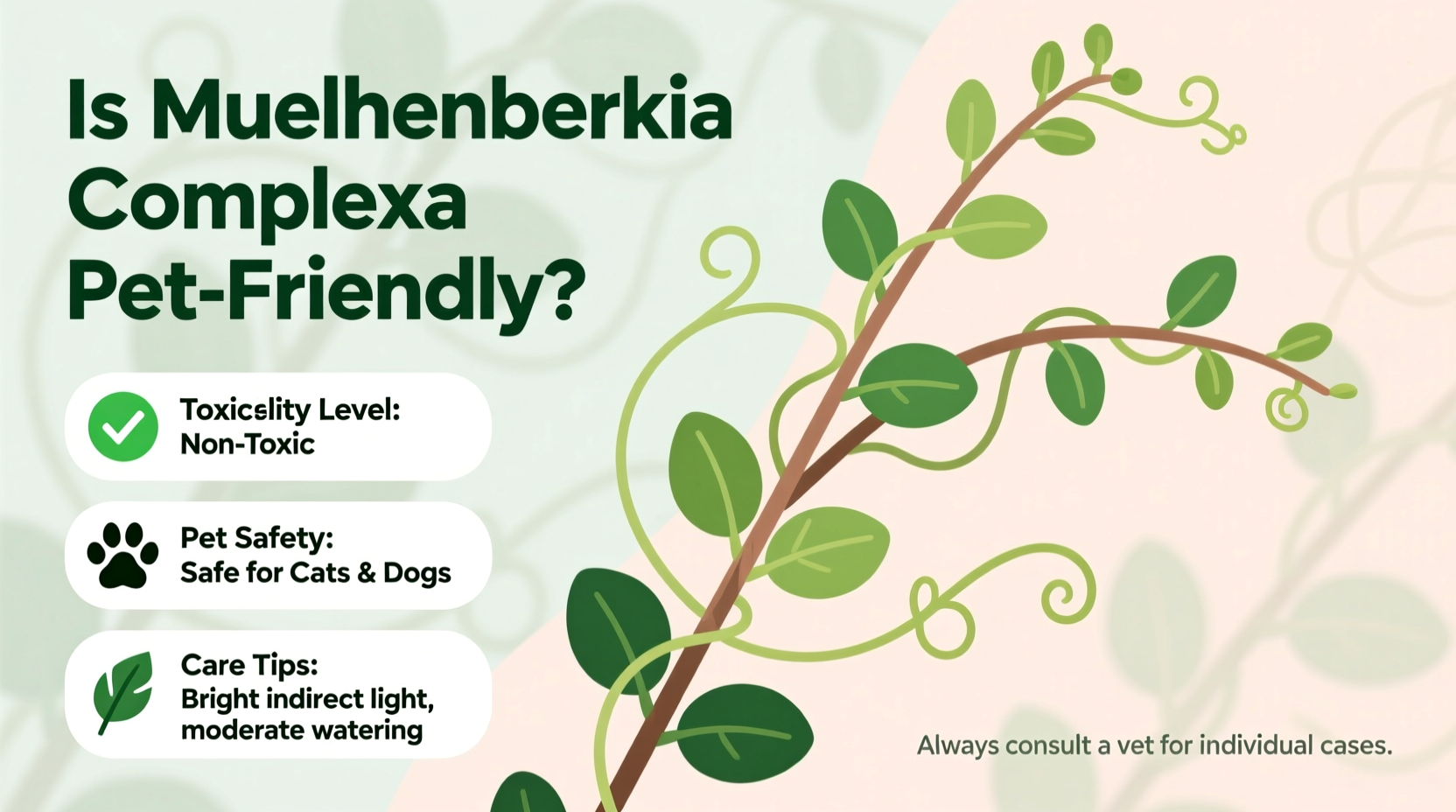 Is Muehlenbeckia Complexa Pet-Friendly? Find Out Now