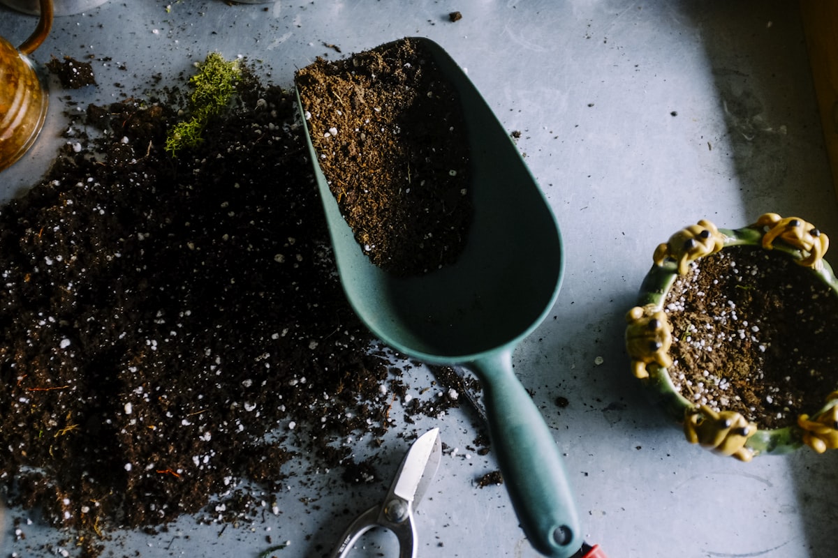 How to Start a Kids' Garden from Seeds: Complete 8-Week Guide