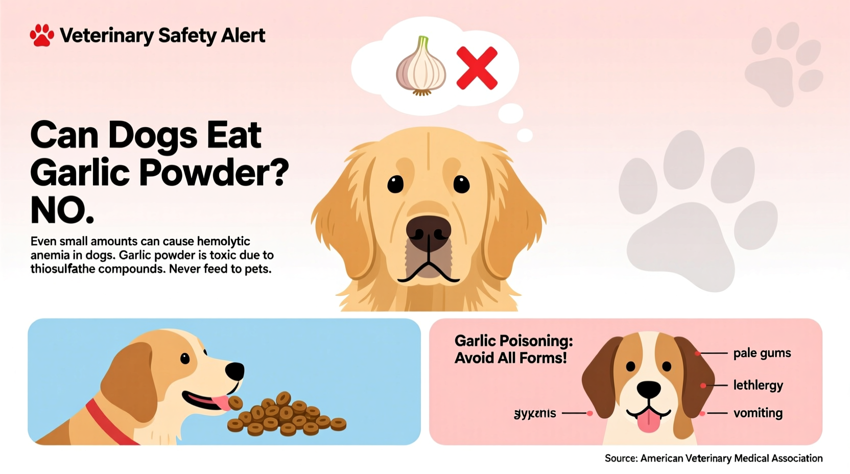 Can Dogs Eat Garlic Powder? Critical Safety Facts