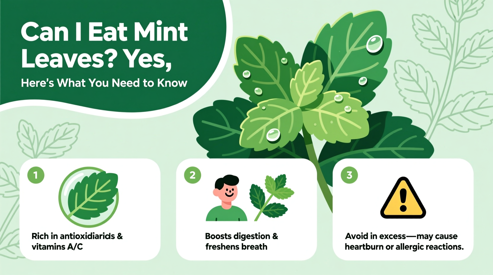 5 Benefits of Eating Mint Leaves | TheHomeSprouts