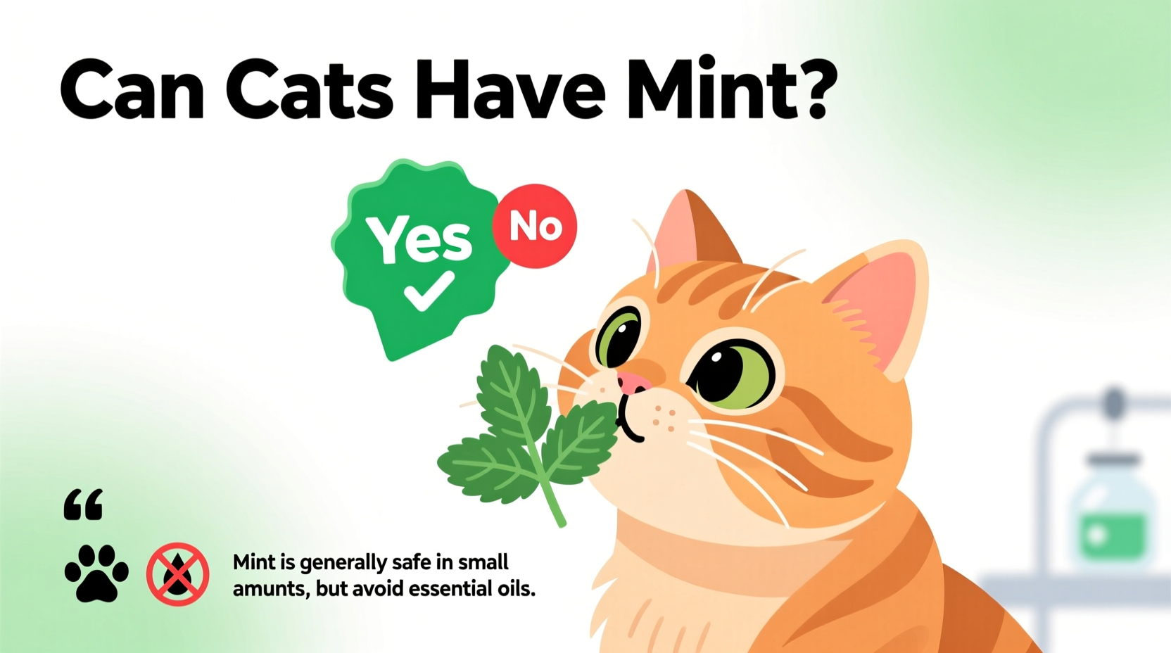 Is Mint Safe for Cats? 5 Risks | TheHomeSprouts