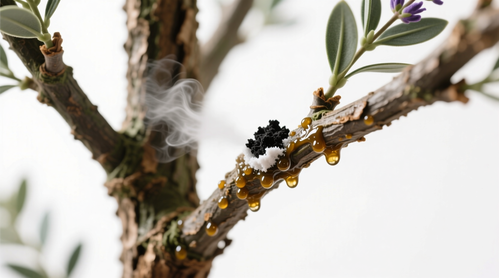 why do some artificial trees smell like plastic and how to remove it