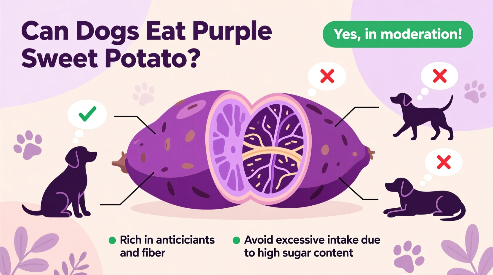 Can Dogs Eat Purple Sweet Potato? Vet-Approved Facts