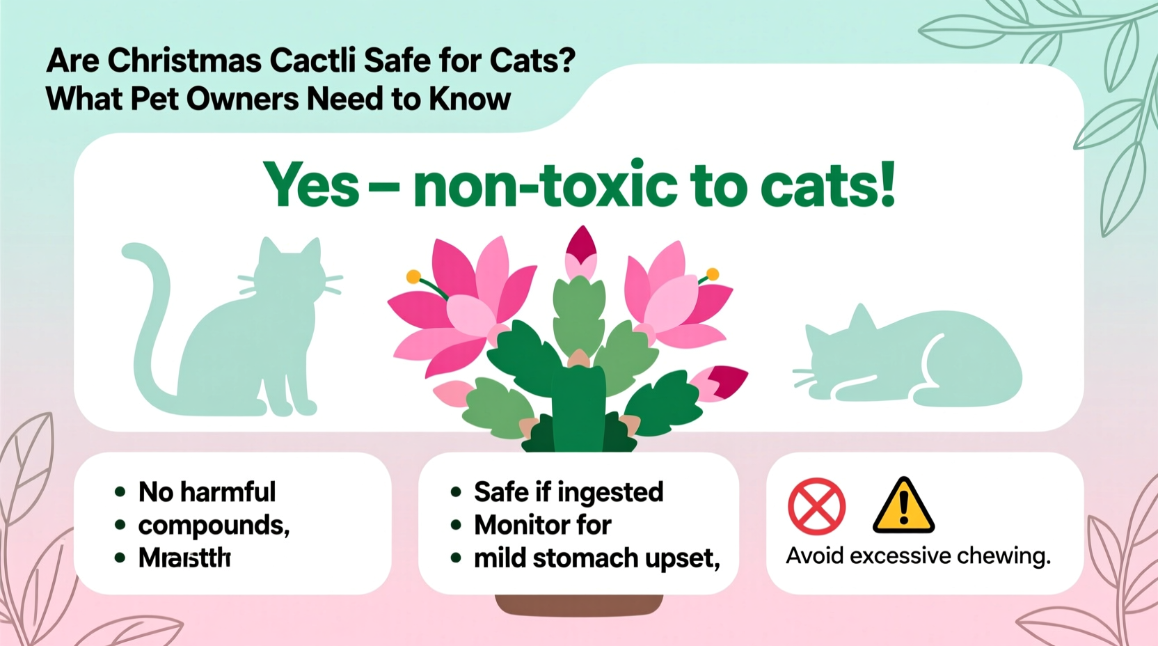 are christmas cactus safe for cats