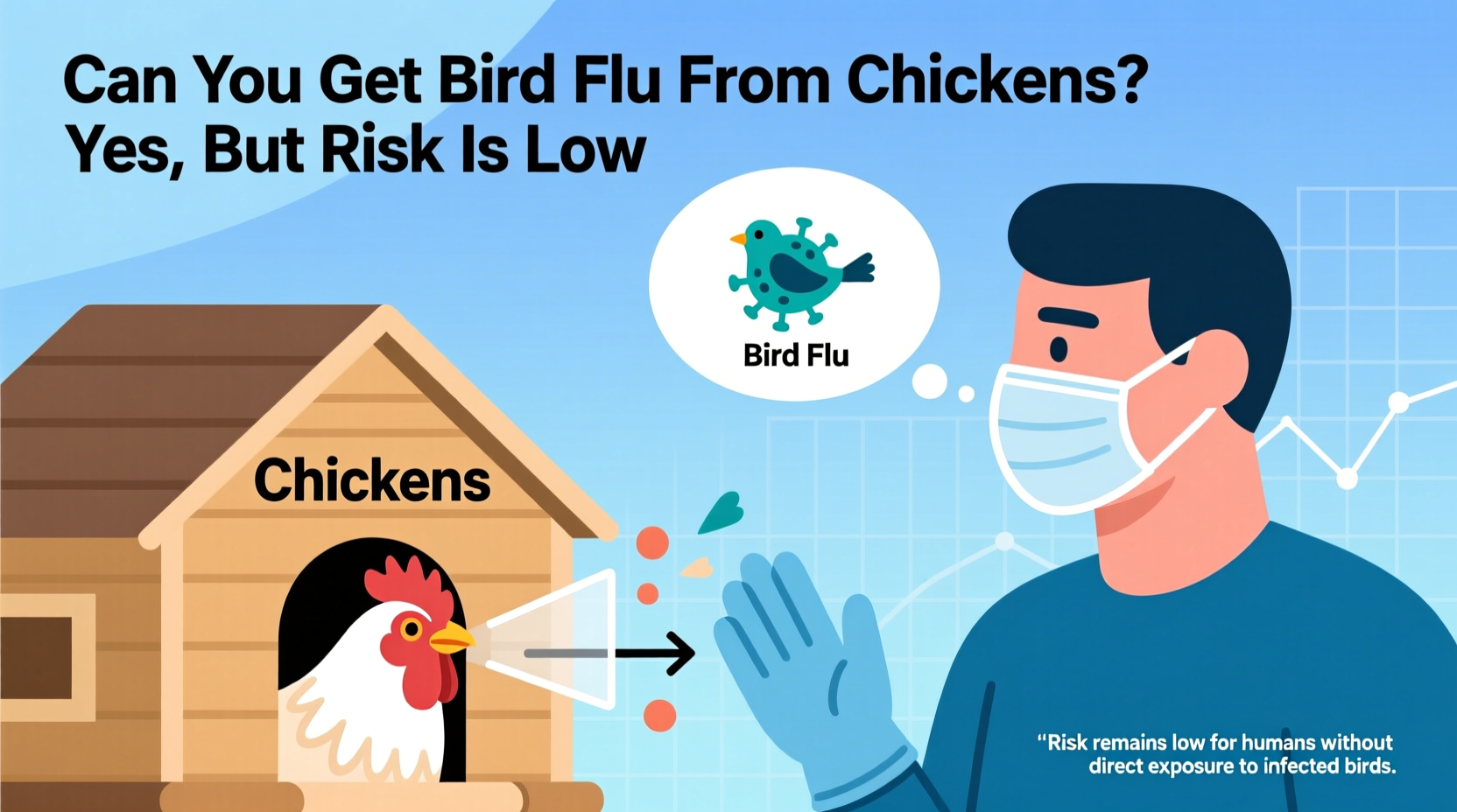 can you get bird flu from chickens