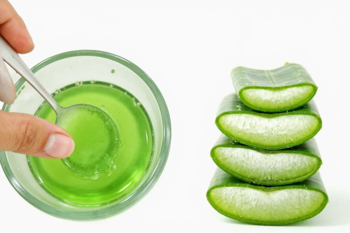How Do You Extract Aloe Vera From The Plant